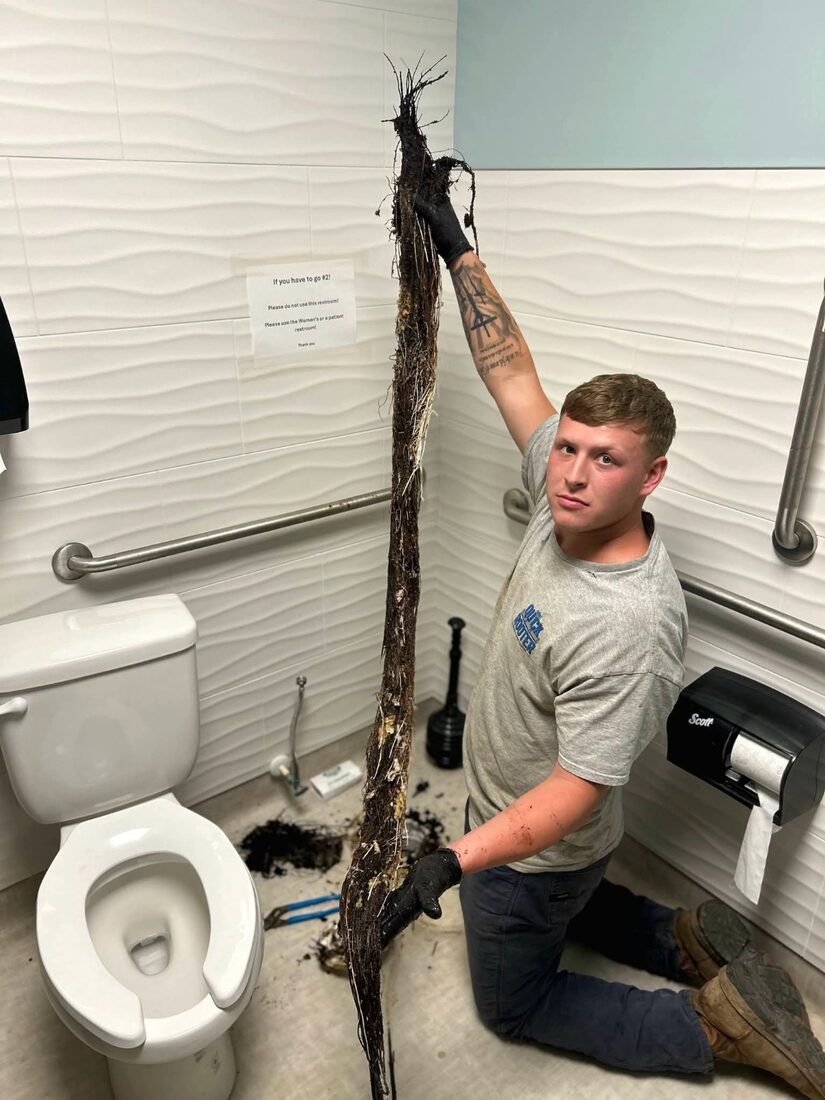 Quick Rooter technician removing severe roots from a commercial drain