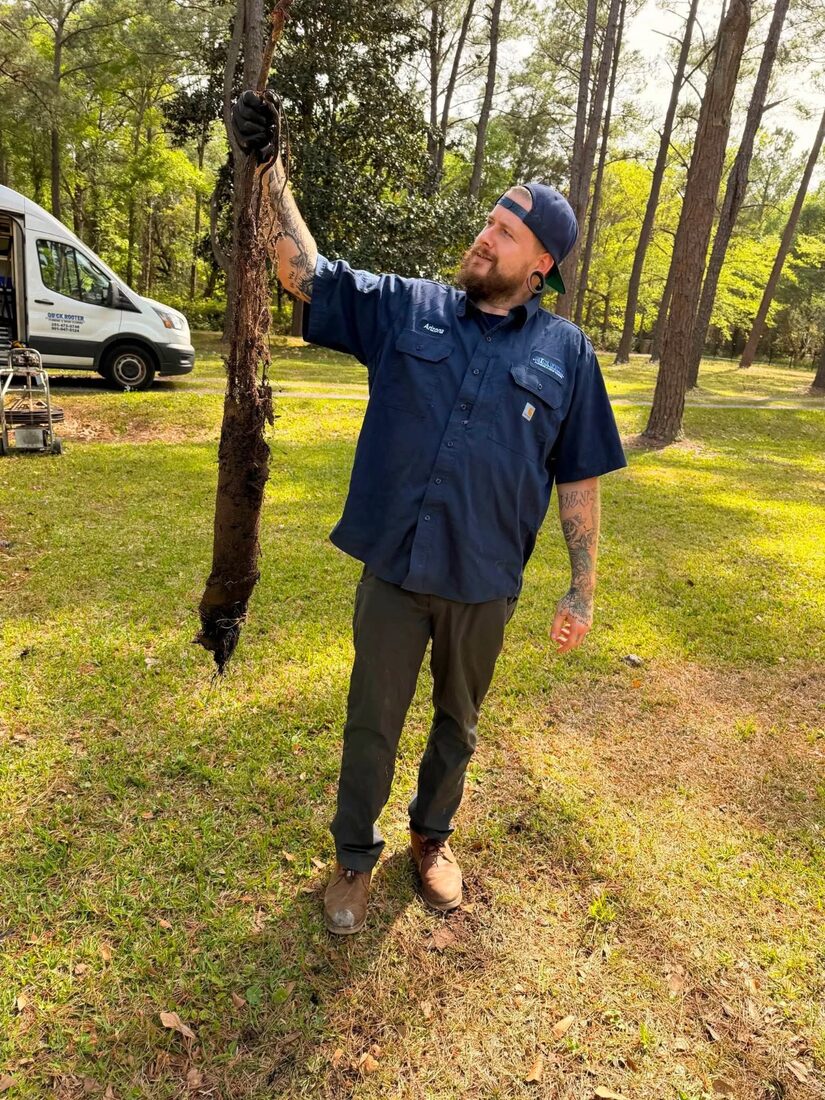 Quick Rooter technician holding roots removed from a clogged drain line