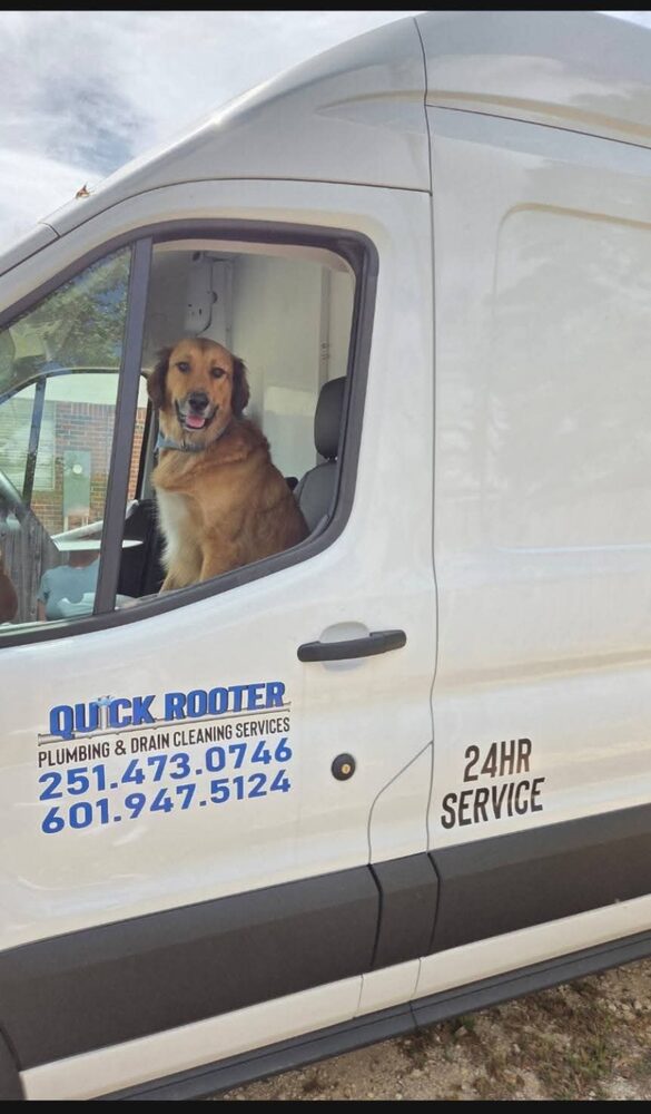 Quick Rooter shop dog sitting in a service van